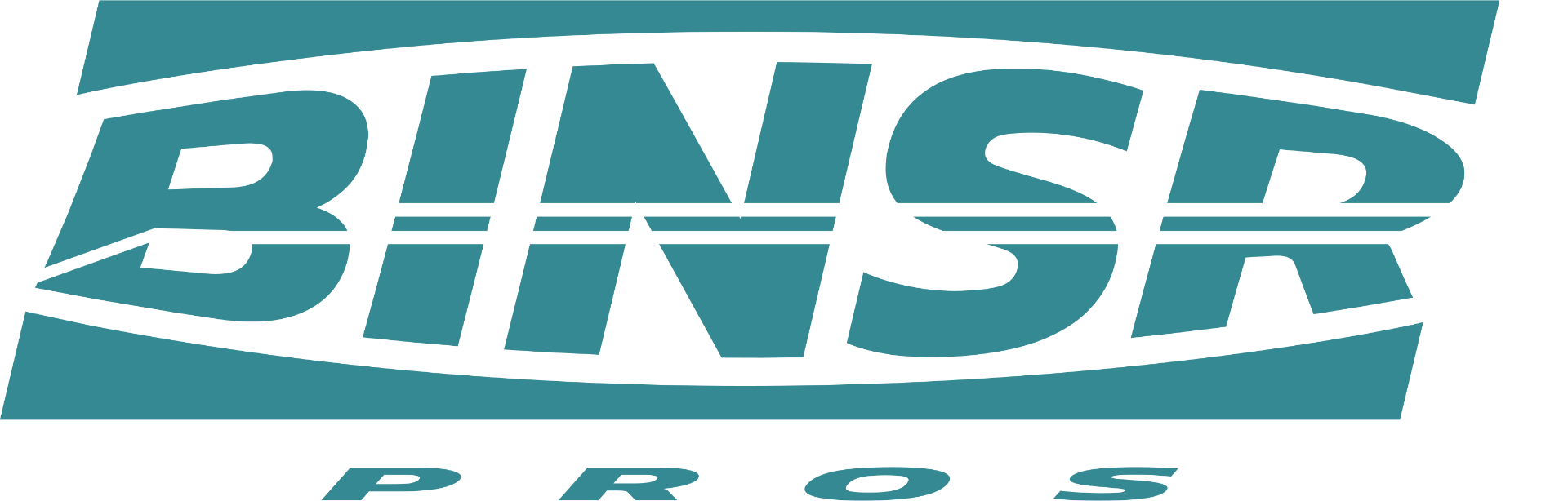 Binsr Pros